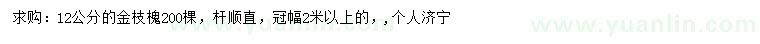求購12公分金枝槐