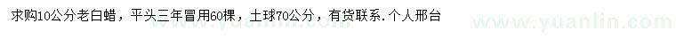 求購10公分老白蠟