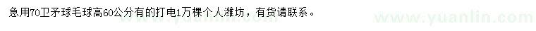 求購高60公分衛(wèi)矛球