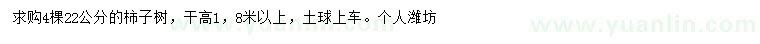 求購22公分柿子樹