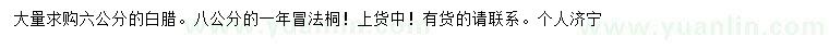 求購6公分白臘、8公分法桐