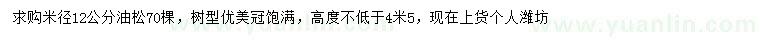 求購米徑12公分油松