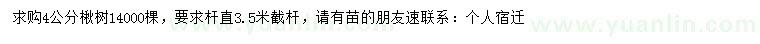 求購(gòu)4公分楸樹(shù)