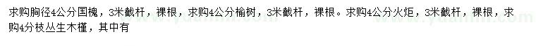 求購(gòu)國(guó)槐、榆樹、火炬樹等