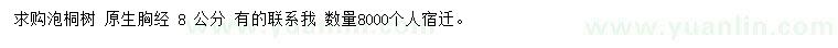 求購胸徑8公分泡桐樹