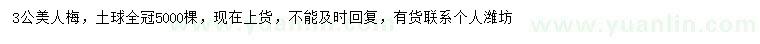 求購(gòu)3公美人梅