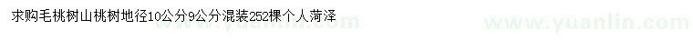 求購地徑9、10公分毛桃樹、山桃樹