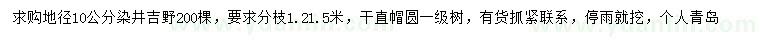 求購地徑10公分染井吉野