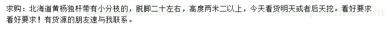 求購高2.2米以上北海道黃楊