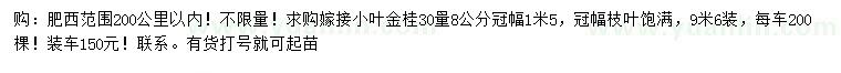 求購30量8公分小葉金桂