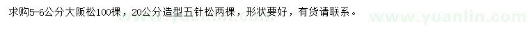 求購(gòu)5-6公分大阪松、20公分五針?biāo)? />
                        <br />
                        <label style=