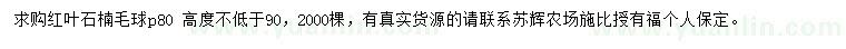 求購(gòu)冠幅80公分紅葉石楠毛球