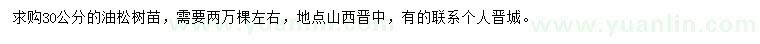 求購30公分油松樹苗