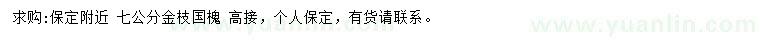 求購(gòu)7公分金枝國(guó)槐