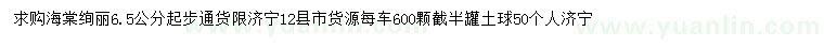 求購6.5公分以上絢麗海棠