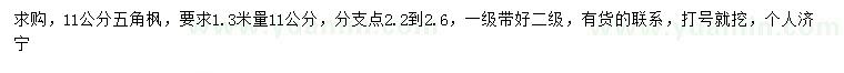 求購1.3米量11公分五角楓