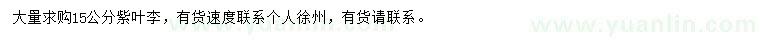 求購(gòu)15公分紫葉李