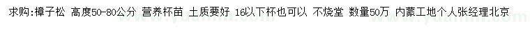 求購高50-80公分樟子松