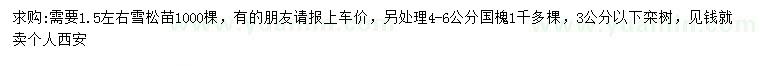 求購雪松苗、國槐、欒樹