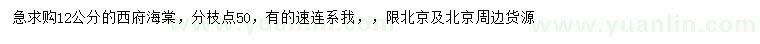 求購12公分西府海棠