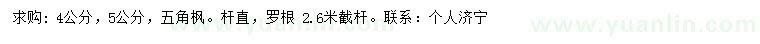 求購4、5公分五角楓