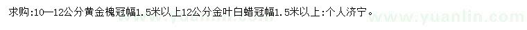 求購10-12公分黃金槐