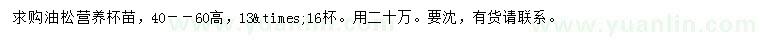 求購40-60公分油松