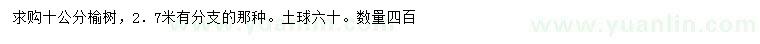 求購10公分榆樹