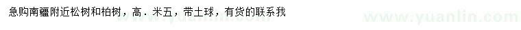 求購高5米松樹、柏樹