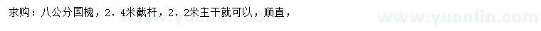 求購(gòu)8公分國(guó)槐