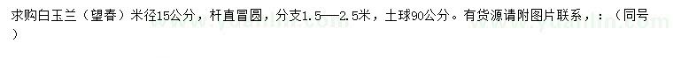 求購米徑15公分白玉蘭