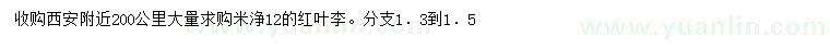 求購(gòu)米徑12公分紅葉李