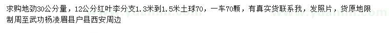 求購(gòu)地徑30公分量12公分紅葉李