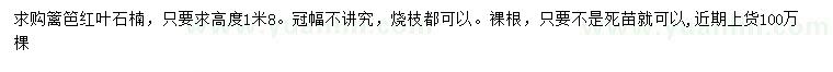求購高1.8米紅葉石楠