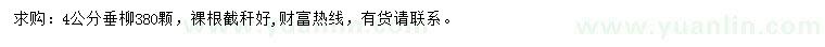 求購(gòu)4公分垂柳