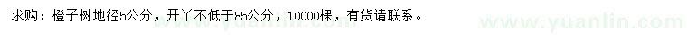 求購(gòu)地徑5公分橙子樹(shù)