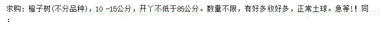 求購10-15公分橙子樹