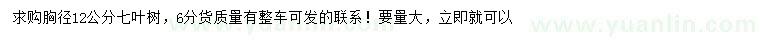 求購胸徑12公分七葉樹