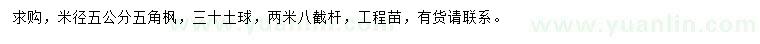 求購米徑5公分五角楓