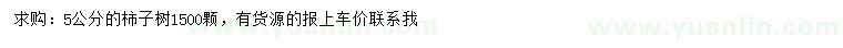 求購5公分柿子樹