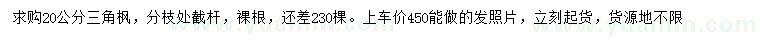 求購(gòu)20公分三角楓