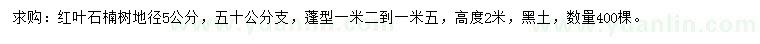求購(gòu)地徑5公分紅葉石楠