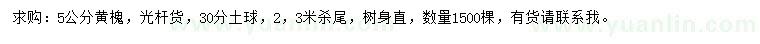 求購5公分黃槐