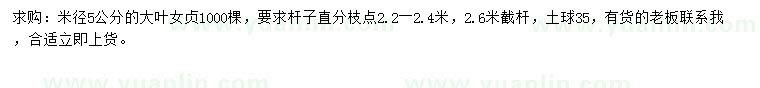求購米徑5公分大葉女貞