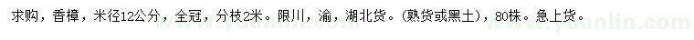 求購米徑12公分香樟