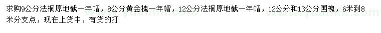 求購法桐、黃金槐、國槐