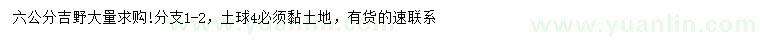 求購(gòu)6公分吉野