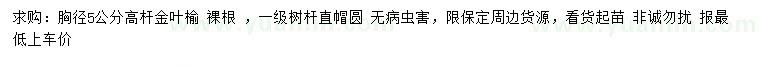 求購胸徑5公分高桿金葉榆