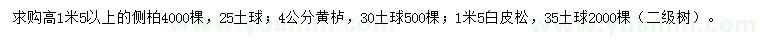 求購側(cè)柏、黃櫨、白皮松