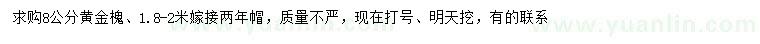 求購8公分黃金槐